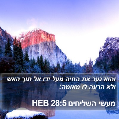 מעשי השליחים 28:5 HEB Bible Verse Image