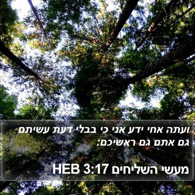 מעשי השליחים 3:17 HEB Bible Verse Image
