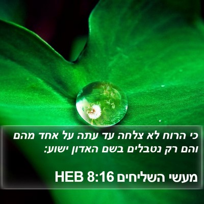 מעשי השליחים 8:16 HEB Bible Verse Image