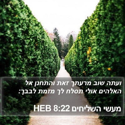 מעשי השליחים 8:22 HEB Bible Verse Image