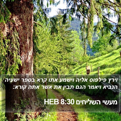 מעשי השליחים 8:30 HEB Bible Verse Image