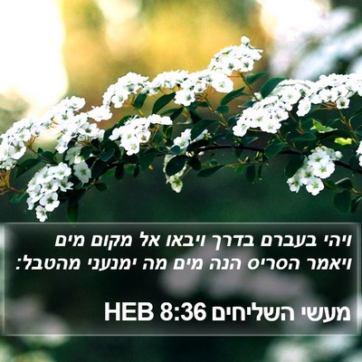 מעשי השליחים 8:36 HEB Bible Verse Image