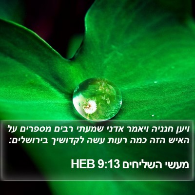 מעשי השליחים 9:13 HEB Bible Verse Image