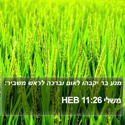 משלי 11:26 HEB Bible Verse Image