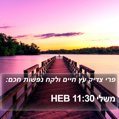 משלי 11:30 HEB Bible Verse Image