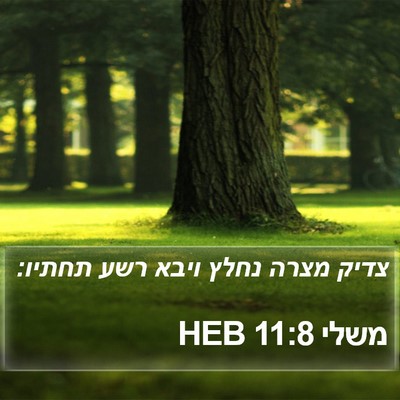 משלי 11:8 HEB Bible Verse Image