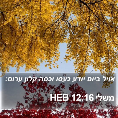 משלי 12:16 HEB Bible Verse Image