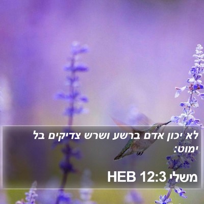 משלי 12:3 HEB Bible Verse Image