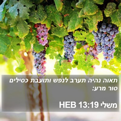 משלי 13:19 HEB Bible Verse Image