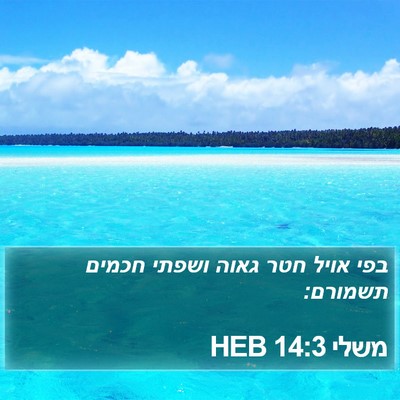משלי 14:3 HEB Bible Verse Image