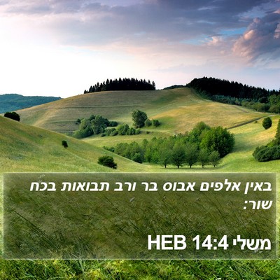 משלי 14:4 HEB Bible Verse Image