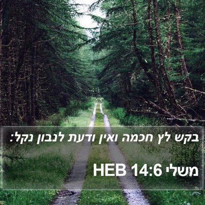 משלי 14:6 HEB Bible Verse Image