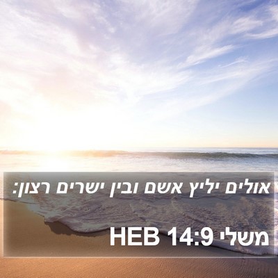 משלי 14:9 HEB Bible Verse Image