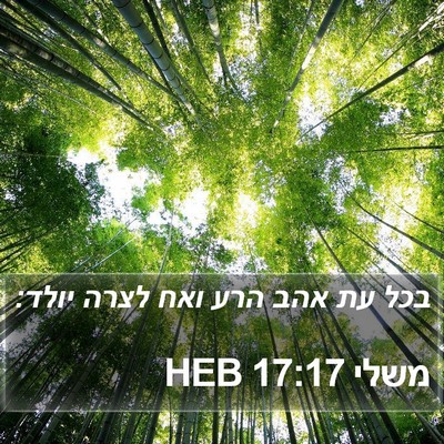 משלי 17:17 HEB Bible Verse Image