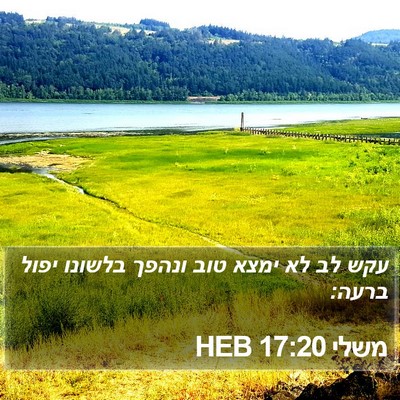 משלי 17:20 HEB Bible Verse Image