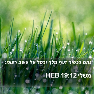 משלי 19:12 HEB Bible Verse Image