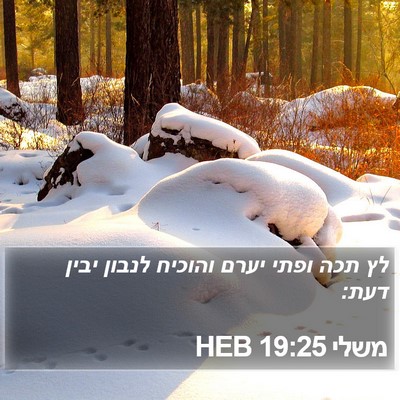משלי 19:25 HEB Bible Verse Image