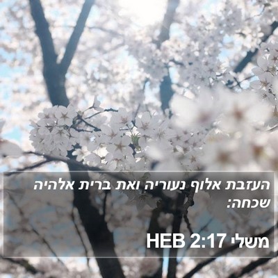משלי 2:17 HEB Bible Verse Image