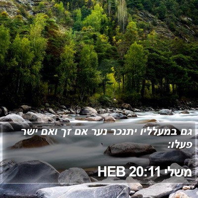משלי 20:11 HEB Bible Verse Image