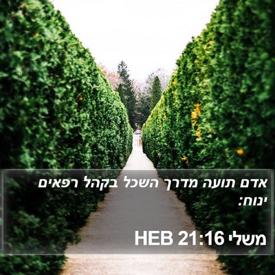 משלי 21:16 HEB Bible Verse Image