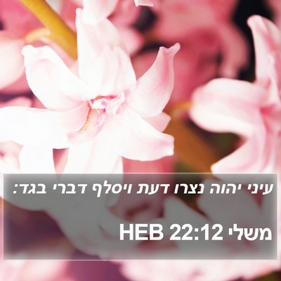 משלי 22:12 HEB Bible Verse Image