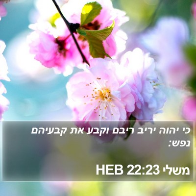 משלי 22:23 HEB Bible Verse Image