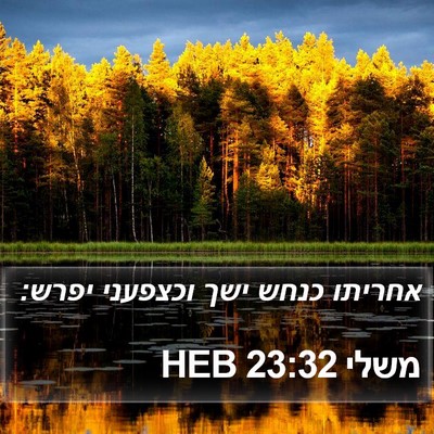 משלי 23:32 HEB Bible Verse Image