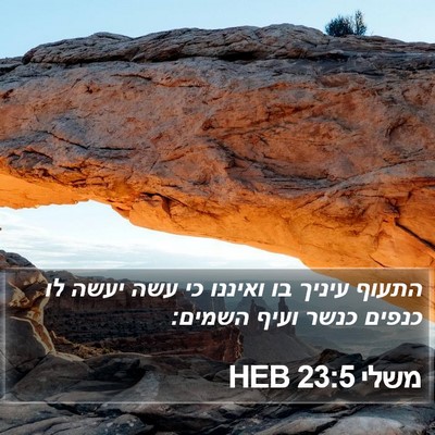 משלי 23:5 HEB Bible Verse Image