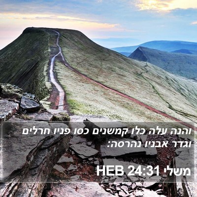 משלי 24:31 HEB Bible Verse Image