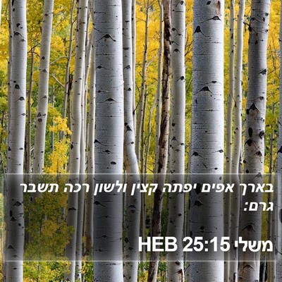 משלי 25:15 HEB Bible Verse Image