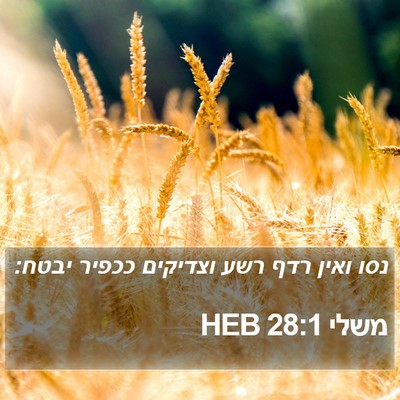 משלי 28:1 HEB Bible Verse Image