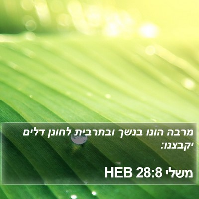 משלי 28:8 HEB Bible Verse Image