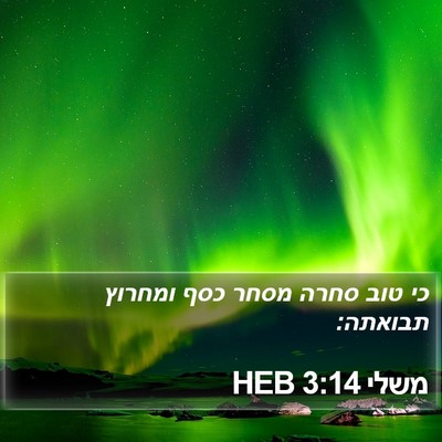 משלי 3:14 HEB Bible Verse Image