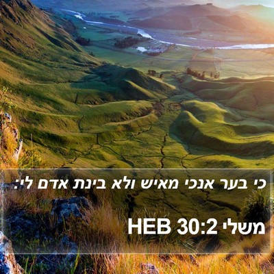 משלי 30:2 HEB Bible Verse Image