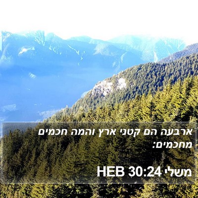 משלי 30:24 HEB Bible Verse Image