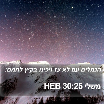 משלי 30:25 HEB Bible Verse Image