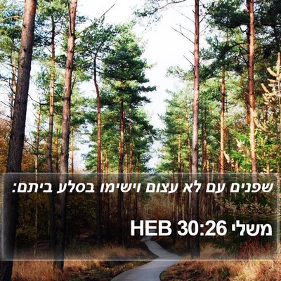 משלי 30:26 HEB Bible Verse Image