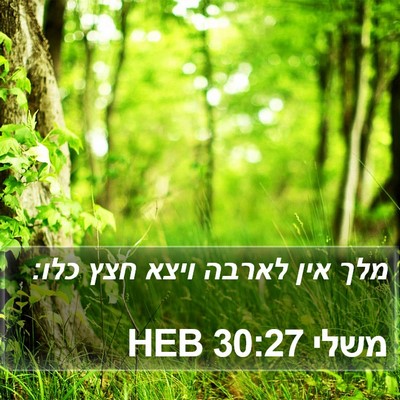משלי 30:27 HEB Bible Verse Image