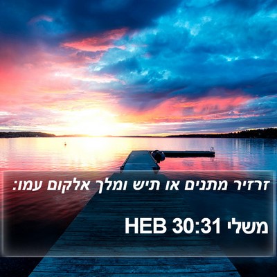 משלי 30:31 HEB Bible Verse Image