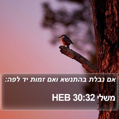 משלי 30:32 HEB Bible Verse Image