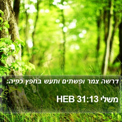 משלי 31:13 HEB Bible Verse Image