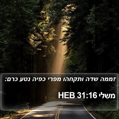 משלי 31:16 HEB Bible Verse Image