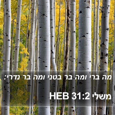 משלי 31:2 HEB Bible Verse Image