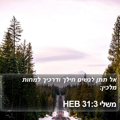 משלי 31:3 HEB Bible Verse Image
