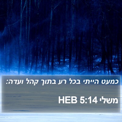 משלי 5:14 HEB Bible Verse Image