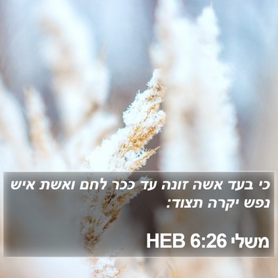 משלי 6:26 HEB Bible Verse Image