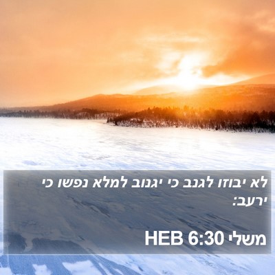 משלי 6:30 HEB Bible Verse Image