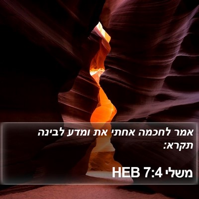 משלי 7:4 HEB Bible Verse Image