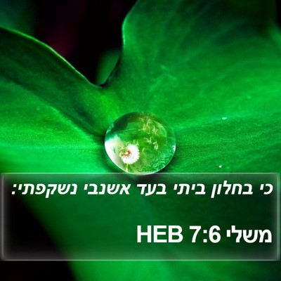 משלי 7:6 HEB Bible Verse Image