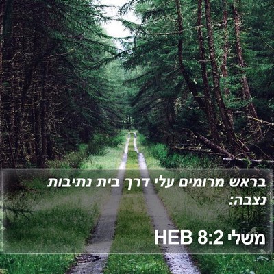 משלי 8:2 HEB Bible Verse Image